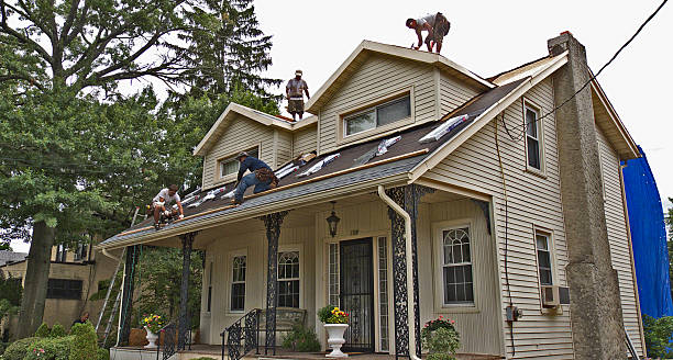 Best Gutter Installation and Roofing  in Putney, GA