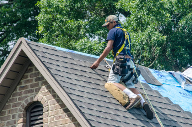 Best Roof Maintenance Services  in Putney, GA